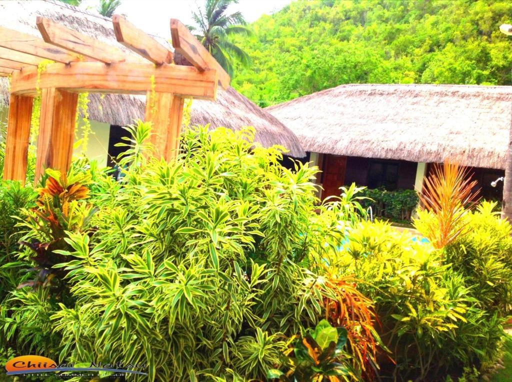 치사이 나츠 리조트 Bohol 외부 사진